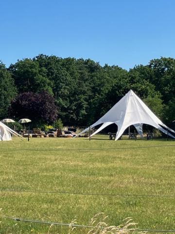 Natuur-Like Glamping In Bosland Pelt Exterior photo